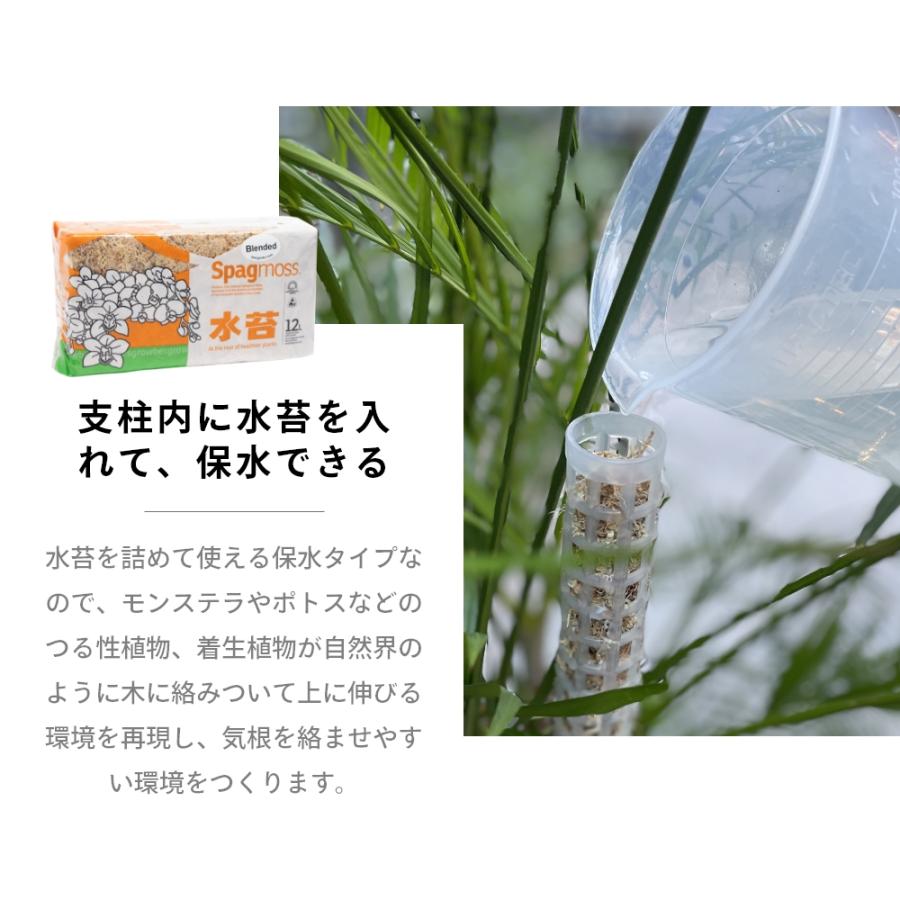 モスポール 支柱 植物支柱 園芸支柱 土台 つる性植物 園芸 観葉植物