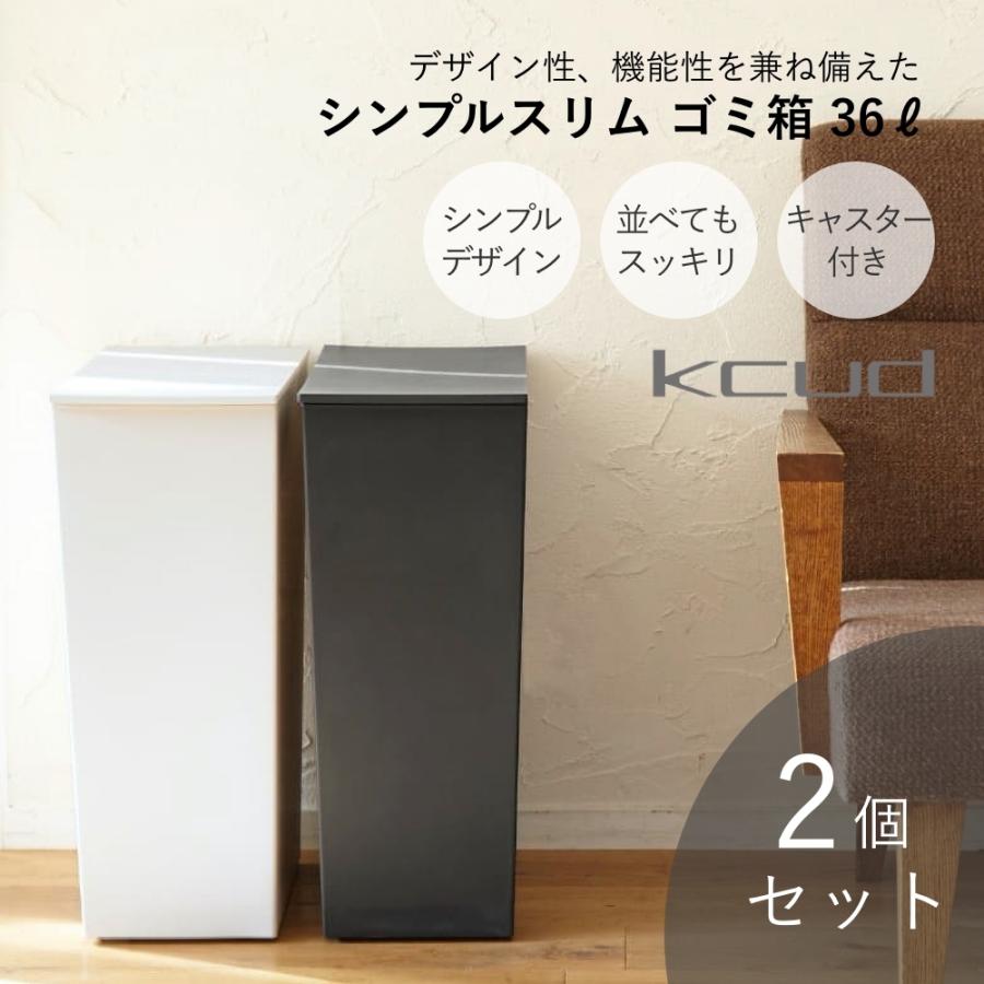 kcud クード シンプルスリム ２個セット ゴミ箱 36L(45Lゴミ袋対応) ダストボックス 父の日_1