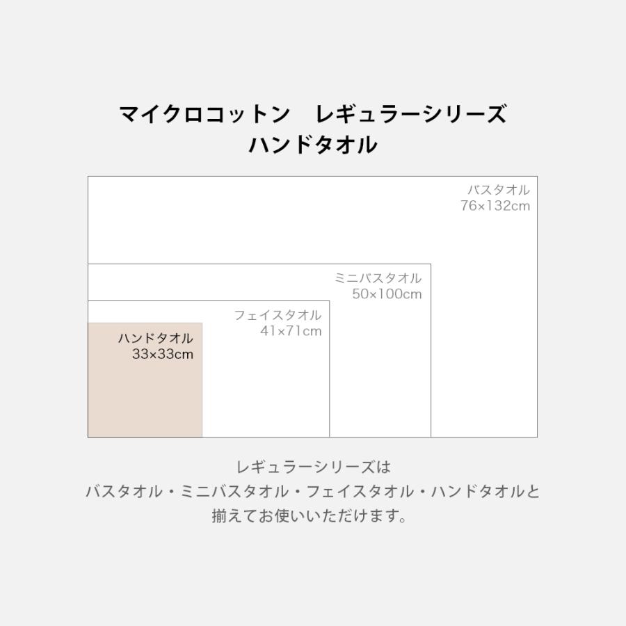 マイクロコットン レギュラーシリーズ ハンドタオル 33×33cm MicroCotton RegularSeries | Micro Cotton | 08