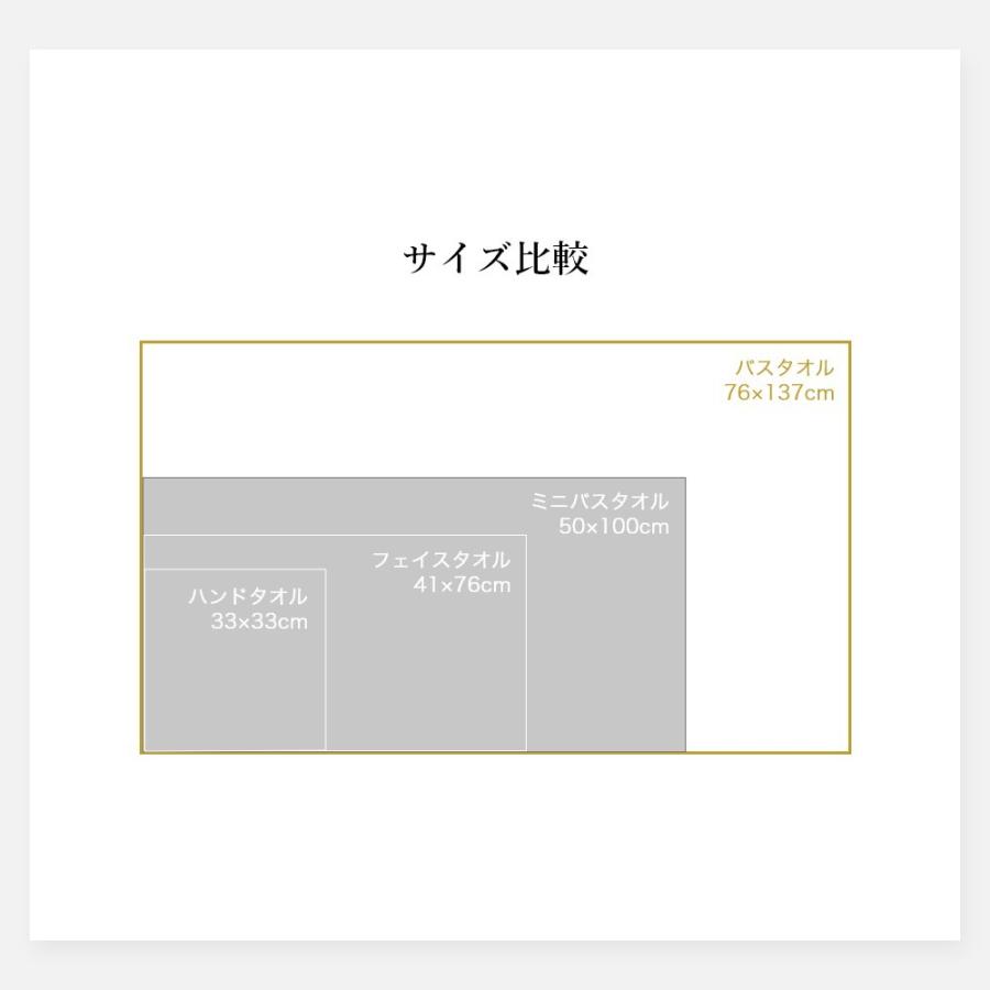 マイクロコットン　ミニバスタオル2枚　ハンドタオル2枚 Micro Cotton（マイクロコットン） ボックスギフト ラグジュアリー