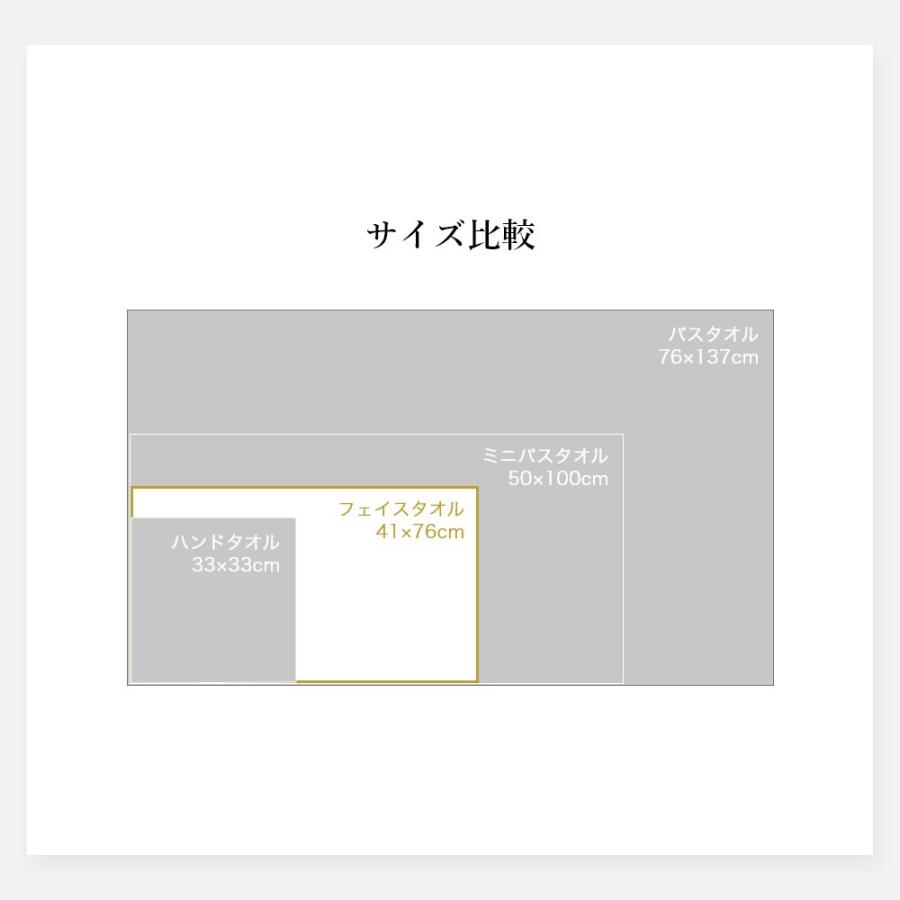 マイクロコットン ボックスギフト プレミアム フェイスタオル2枚 MicroCotton PREMIUM Series | ブランド登録なし | 10