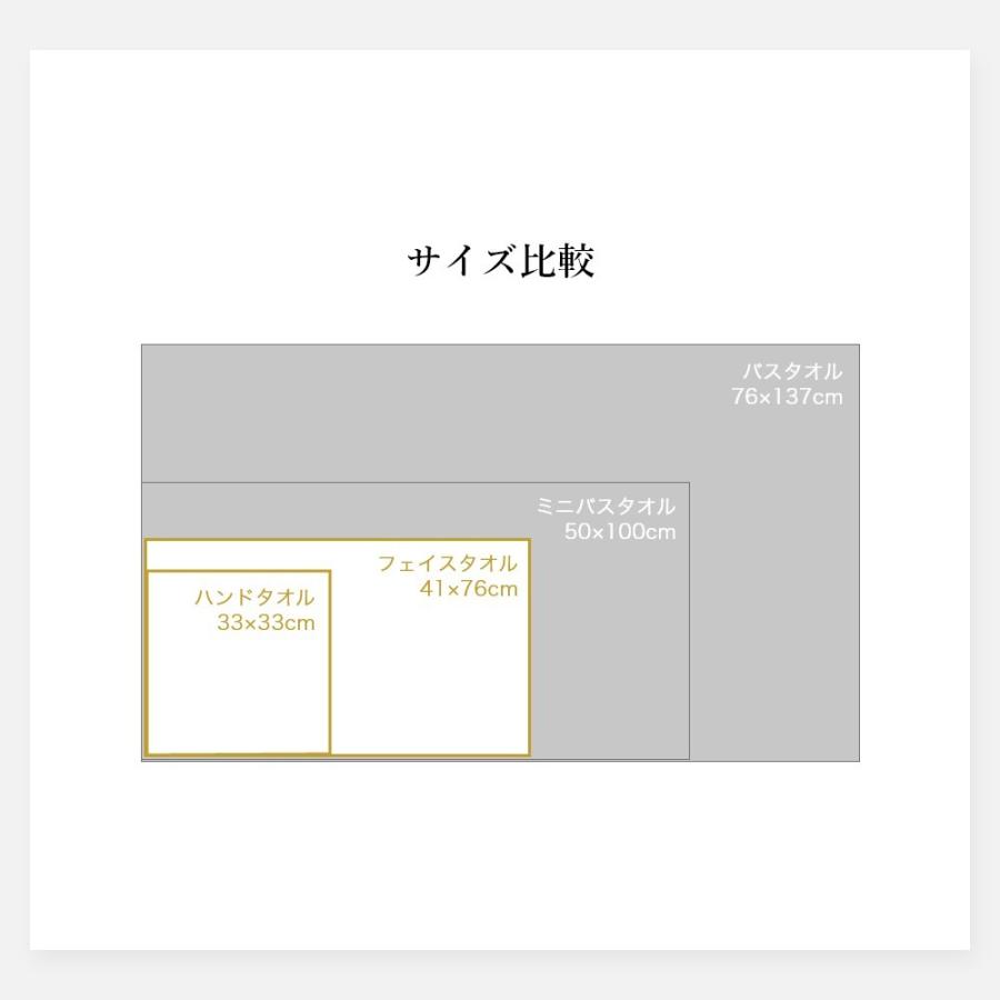 マイクロコットン ボックスギフト プレミアム ハンド＆フェイスタオル 各1枚 MicroCotton PREMIUM Series 母の日の画像