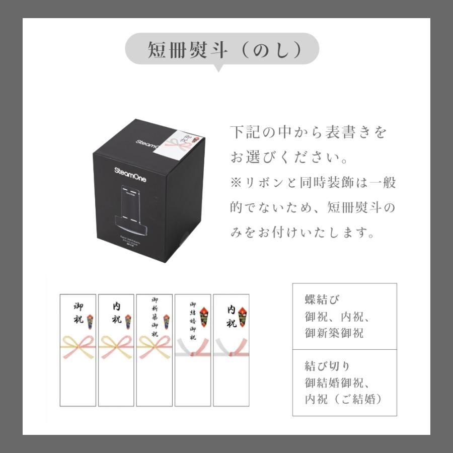 SteamOne スチームワン 衣類スチーマー SIMON サイモン 父の日