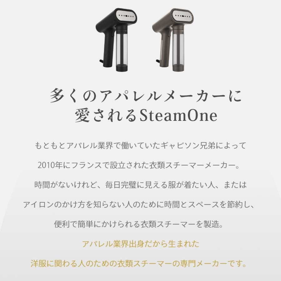 SteamOne スチームワン 衣類スチーマー S Nomad エスノマド 保証1年 父