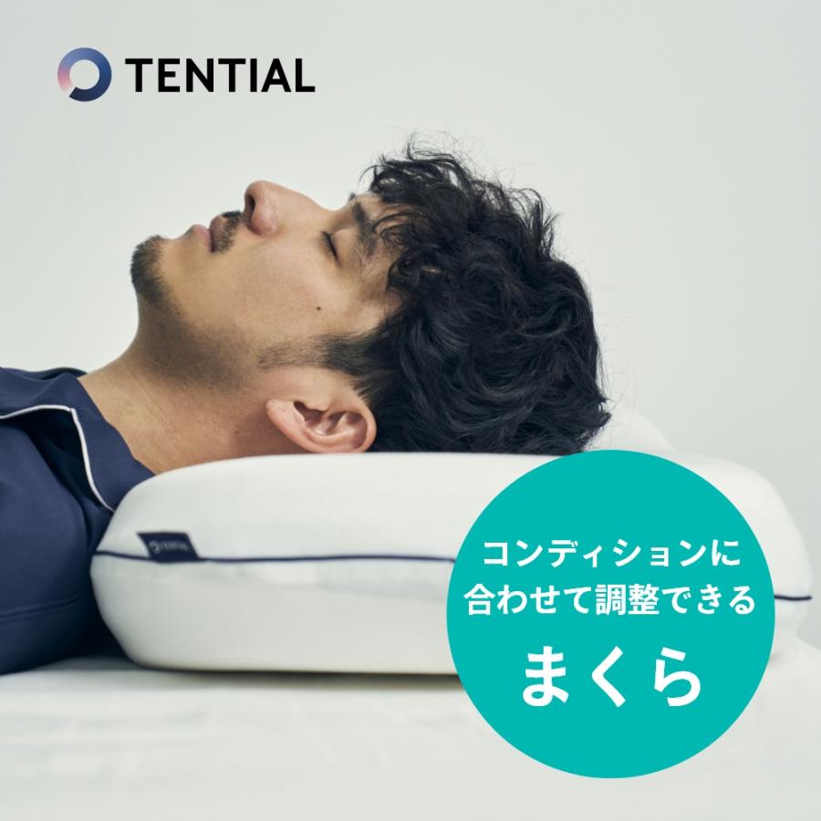 TENTIAL テンシャル BAKUNE MAKURA 枕 カバー付 TENTIAL テンシャル BAKUNE MAKURA 枕 カバー付