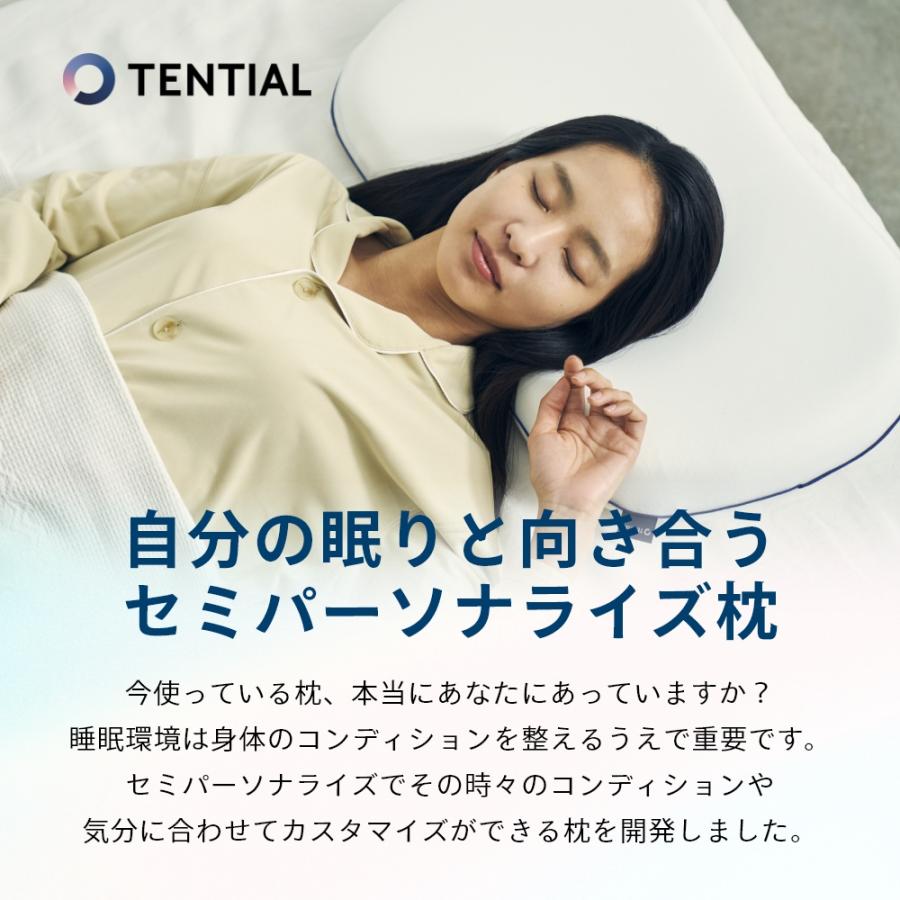 TENTIAL テンシャル BAKUNE MAKURA 枕 カバー付 TENTIAL テンシャル BAKUNE MAKURA 枕 カバー付