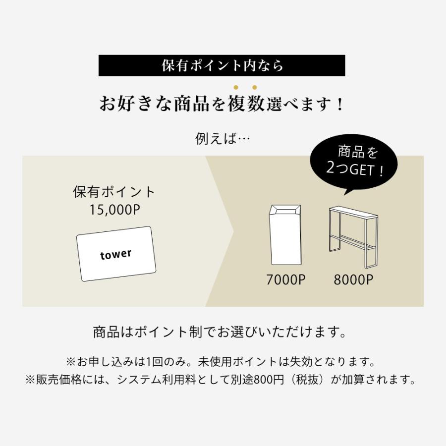 tower 山崎実業 カタログギフト 15000P タワー 10499 父の日