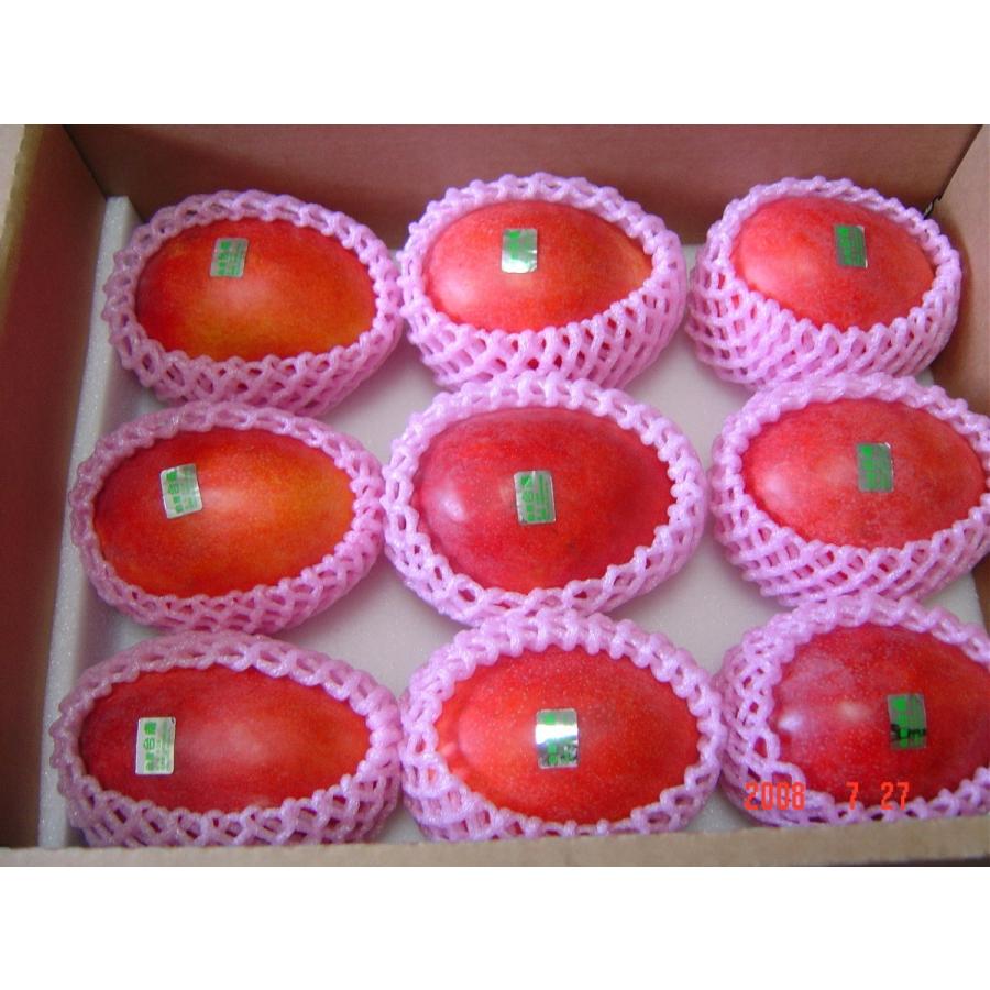 予約販売 台湾産アップルマンゴー 5kg : Transworld Fruits - 通販