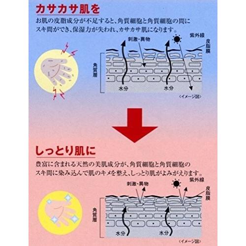 米ぬか ブランドリップ Bran drip 100ml スキンオイル 米ぬかオイル 無添加化粧品|traum|03