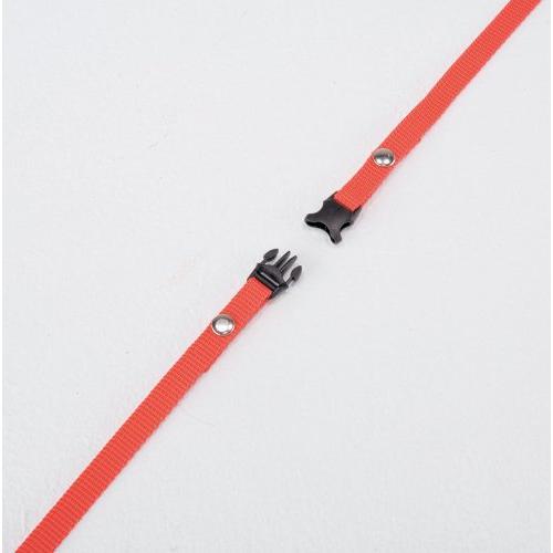 DANNO/ダンノ トレーニング用ラダー DANNO（ダンノ） トレーニング用ラダー : TRAUM - 通販 - Yahoo