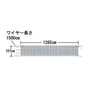 エバニュー 全天候硬式テニスネット上部ダブル式 T103｜traum｜02