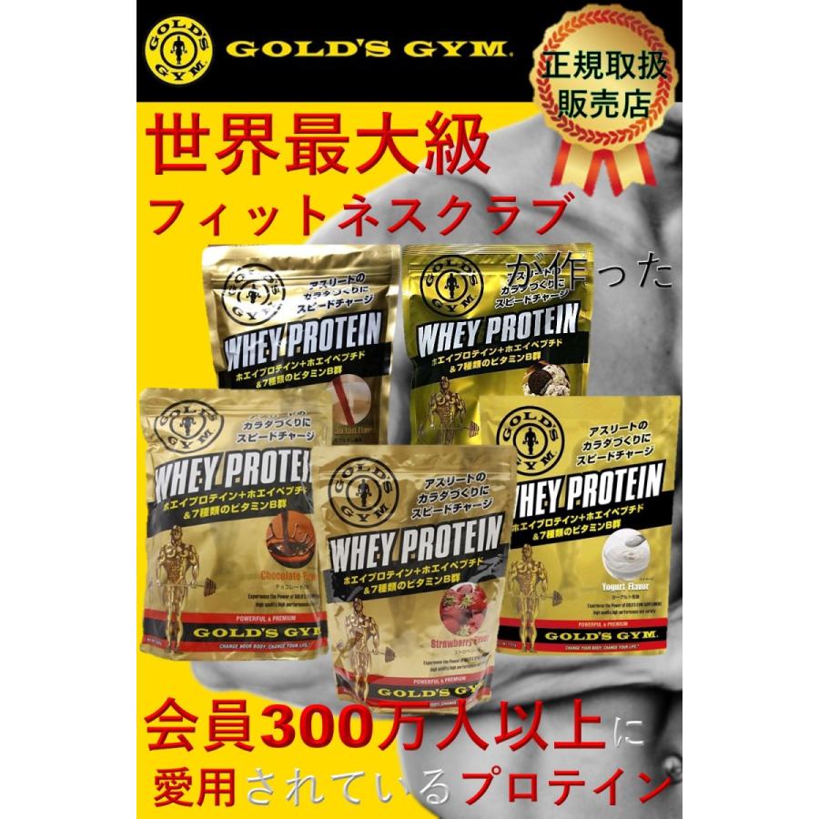 ゴールドジム プロテイン 1500g GOLD's GYM ホエイプロテイン 各種｜traum｜02