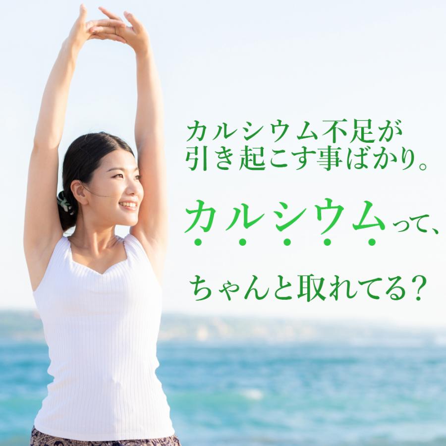 太古のカルシウム 2個セット 送料無料 楽天市場】古代カルシウムの通販