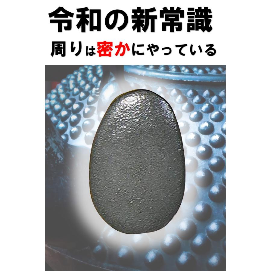 鉄分補給 ザ ・ 鉄玉子 薄型 オリジナル説明書&錆にくい袋付き 【あす