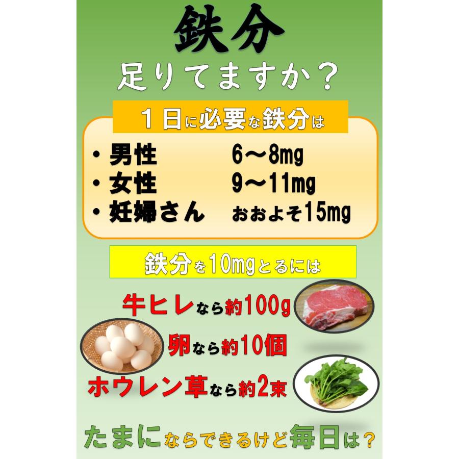 鉄分補給 ザ ・ 鉄玉子 薄型 オリジナル説明書&錆にくい袋付き 【あす