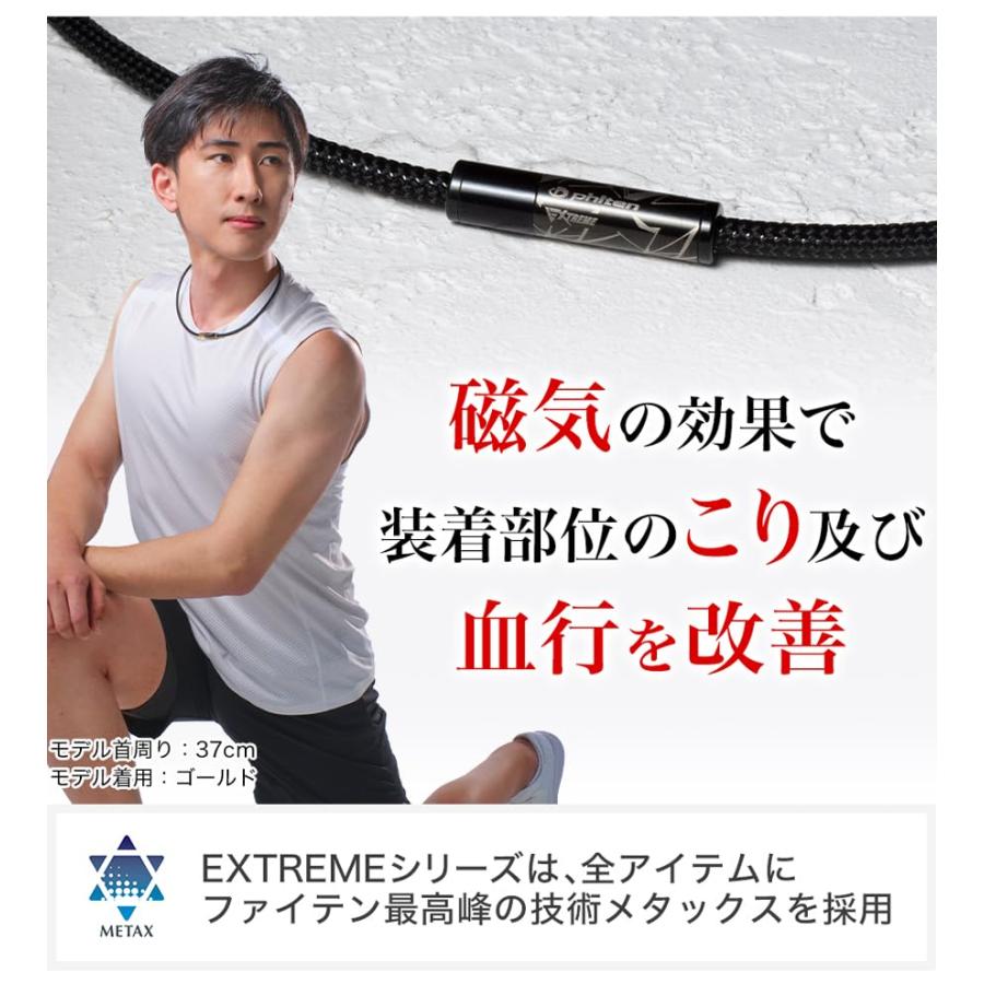phiten(ファイテン) RAKUWA 磁気 ネックレス EXTREME トライバル
