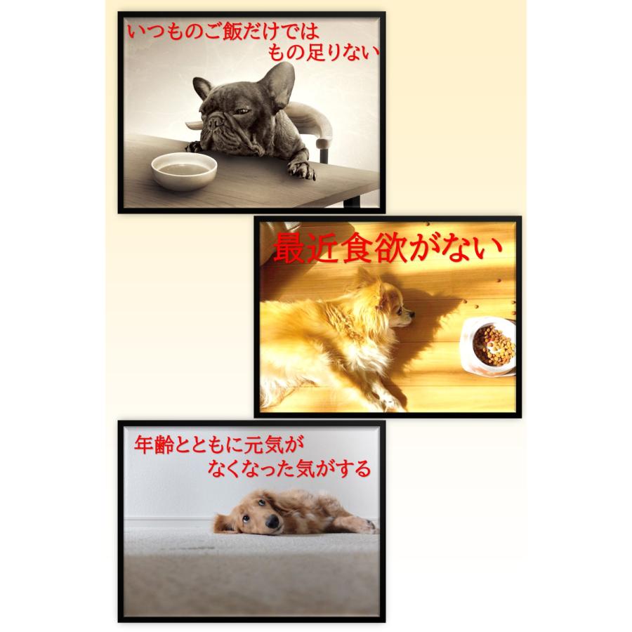 わんわん 犬日和 レトルト 60g エゾ鹿肉と野菜 10食セット : TRAUM