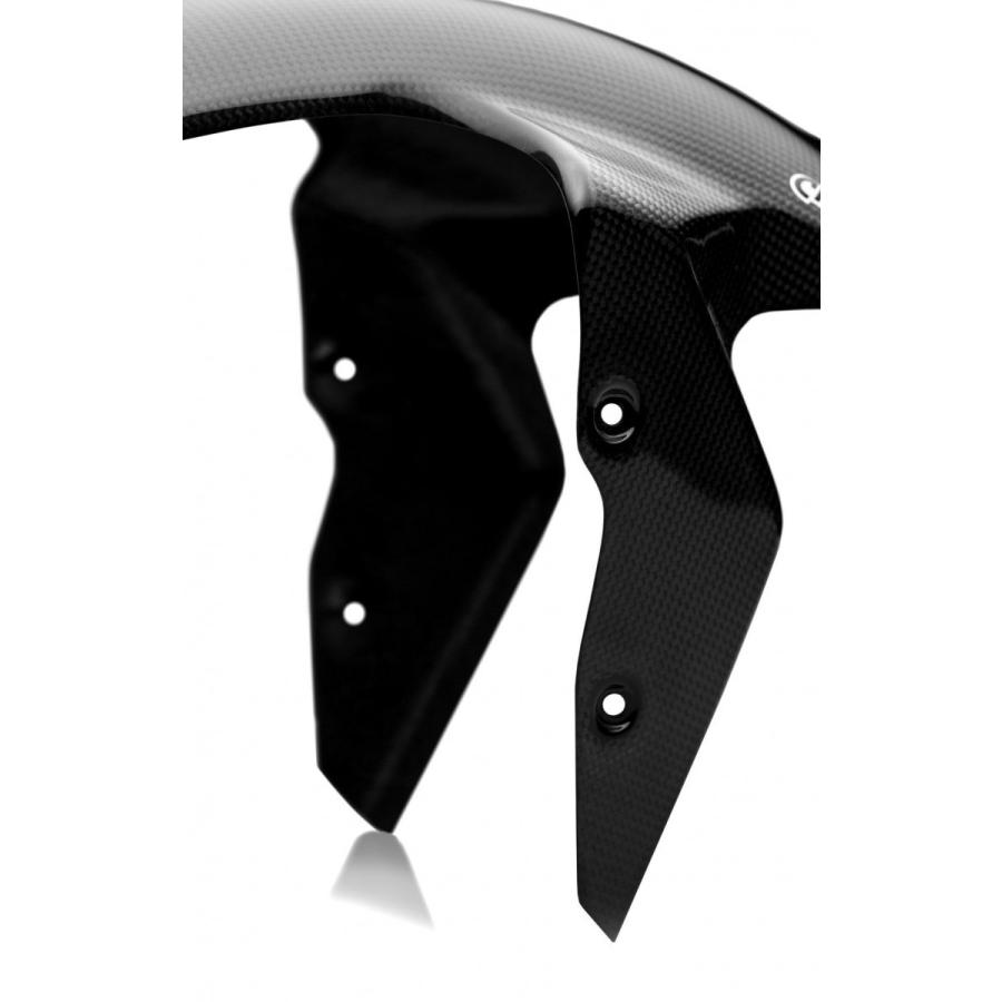 BMW S1000R 14-19年 カーボンフロントフェンダー : 輸入パーツ専門