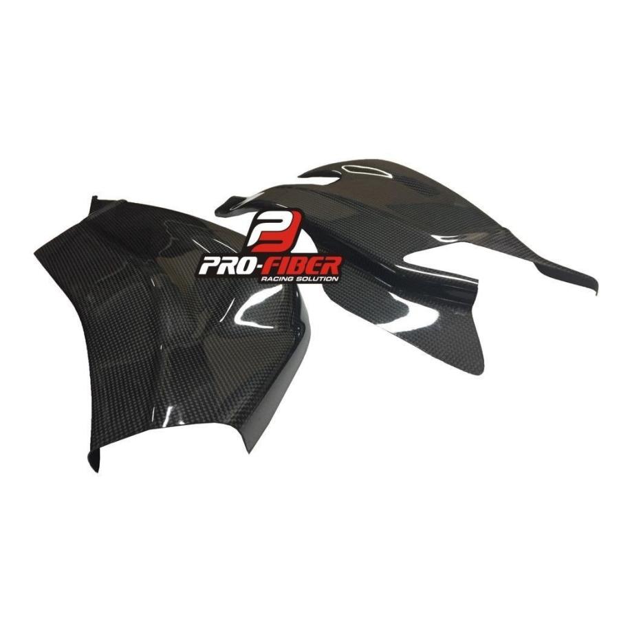 BMW S1000RR 15-18年 カーボンスイングアームカバー 左右セット : 輸入