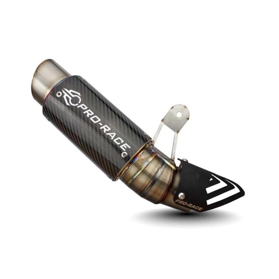 BMW S1000RR 19-23年 PRO-RACE GP-R1R チタンエキゾースト : 輸入