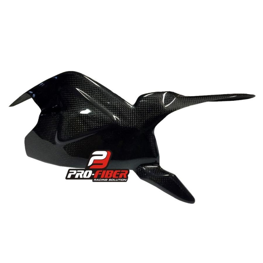 DUCATI 1199 Panigale カーボンスイングアームカバー : 輸入パーツ専門