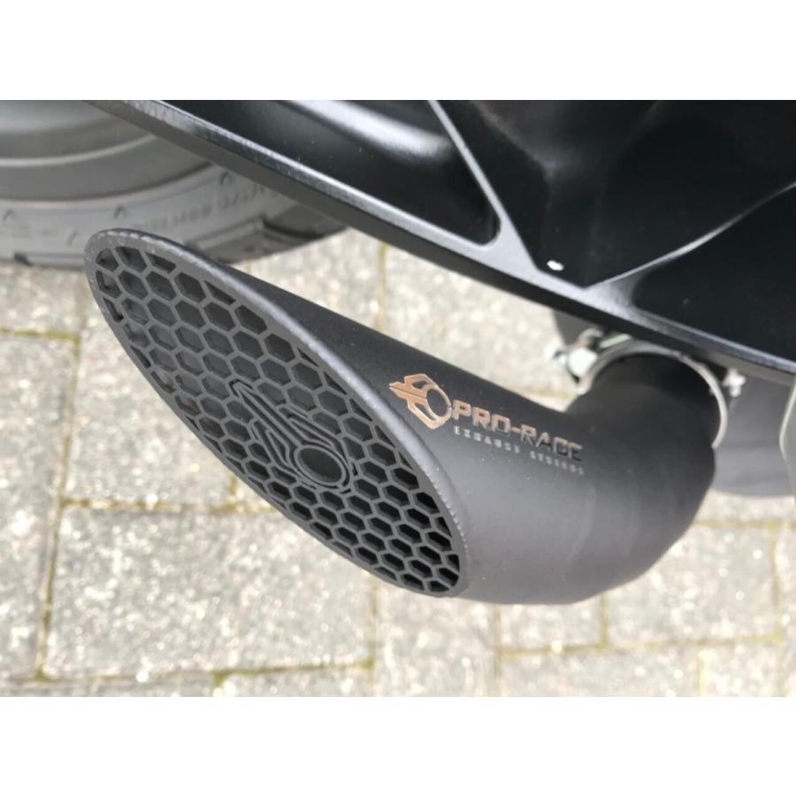 Husqvarna Svartpilen401/Vitpilen401 18-19年 PRO-RACE GP-S1