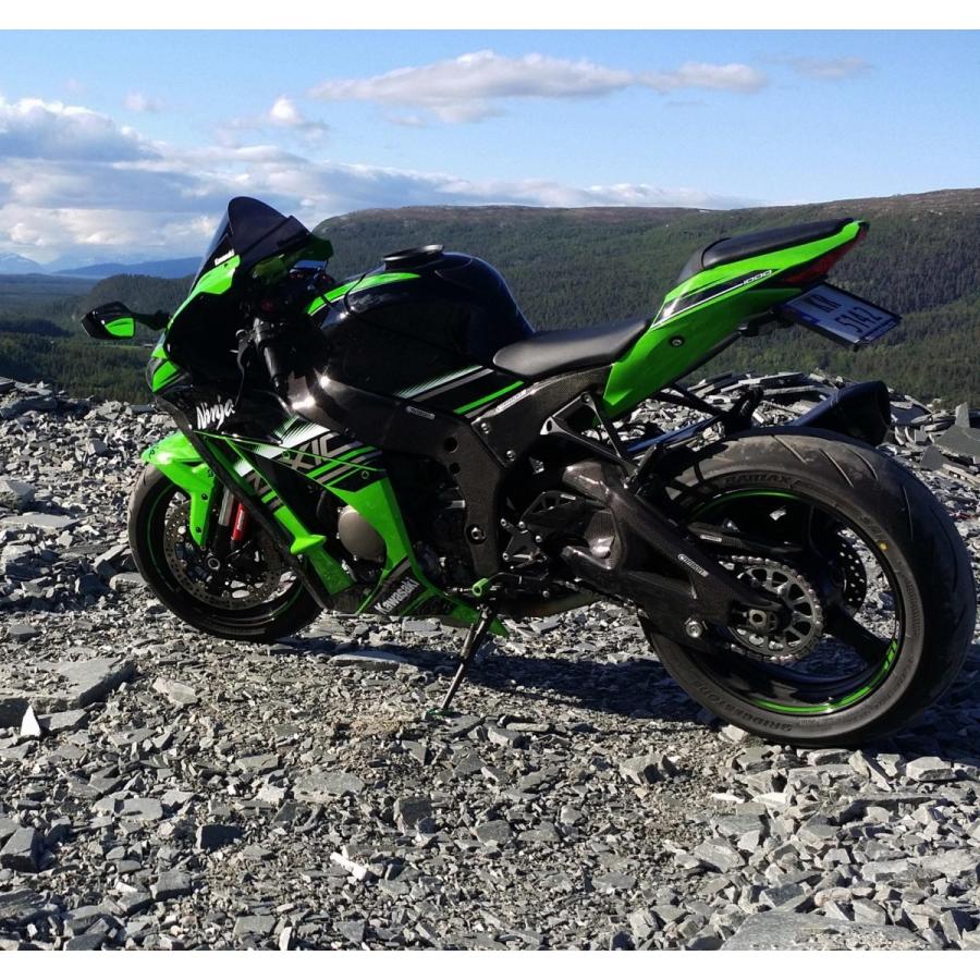 Kawasaki ZX-10R 16-22年 カーボンフレームカバー 左右セット Kawasaki ZX-10R 16-22年 カーボンフレームカバー 左右セット
