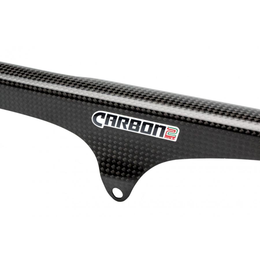 TRIUMPH DAYTONA 675 06-17年 カーボンチェーンガード : 輸入パーツ