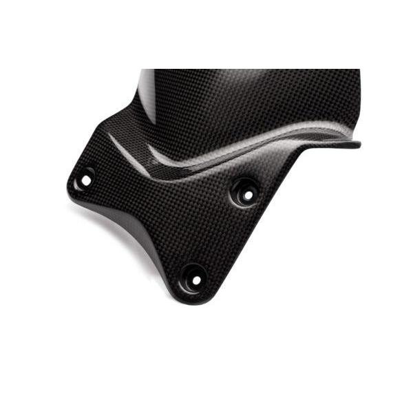 TRIUMPH DAYTONA 675 06-12年 カーボンリアフェンダー : tri-far 