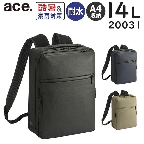 acegn-20031