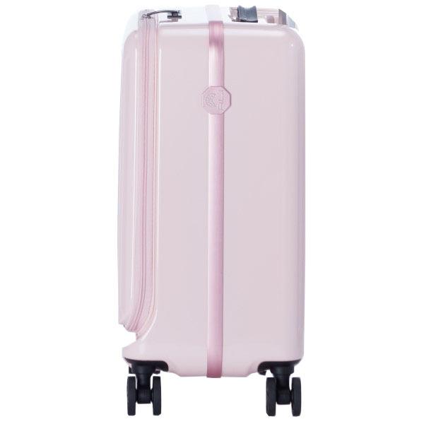 アジア・ラゲージ ALUMINUM アルミナ (37L) ファスナータイプ スーツ