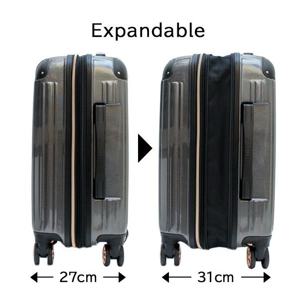 シフレ siffler グリーンワークス GRE2253-55 (52〜60L) 手荷物