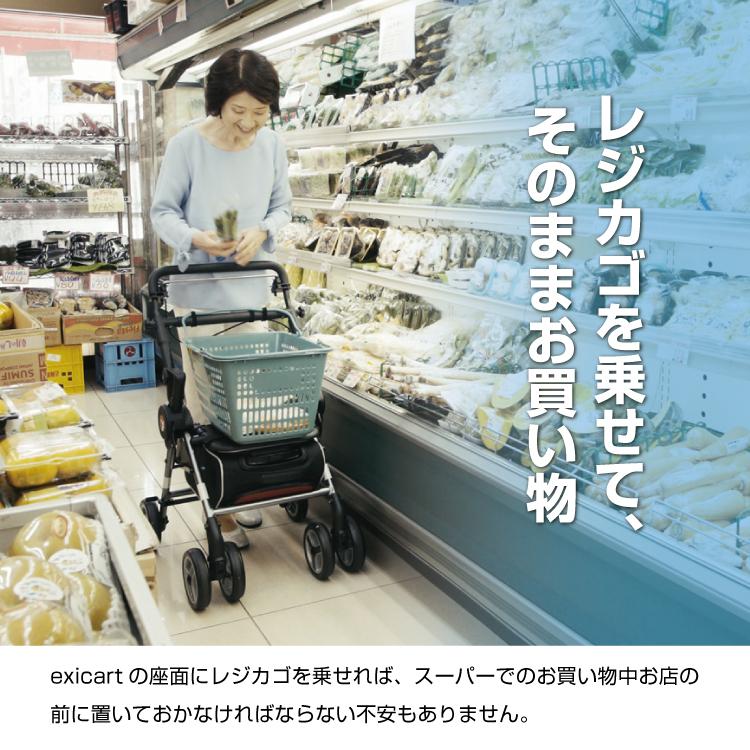 送料無料 シルバーカー おしゃれ ボックスタイプ エキシカート