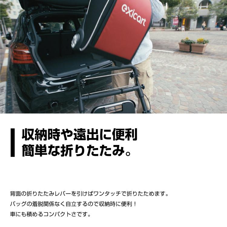 送料無料 シルバーカー おしゃれ ボックスタイプ エキシカート