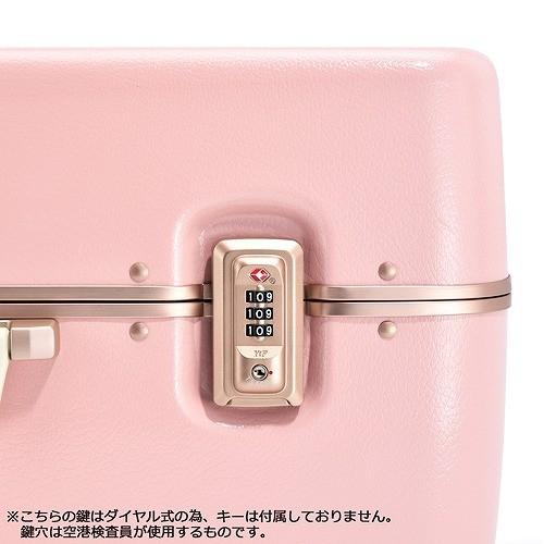 【希少】ace キャリーケース 小型　4輪 機内持込 ハードケース 軽量 Ace（エース） アウトレット スーツケース キャリーケース キャリー