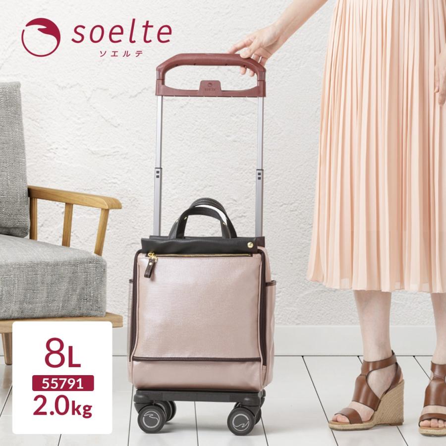 Ace（エース） シルバーカー ショッピングカート シニアカー 買い物