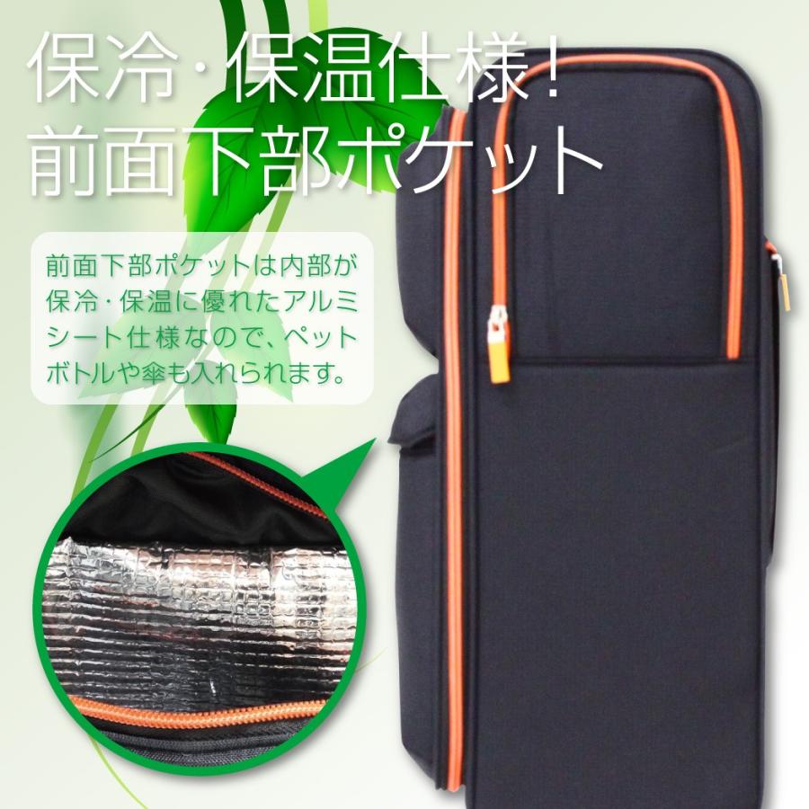 おしゃべりウォーカー 30個入りセット タイザー製 LEGEND WALKER（レジェンドウォーカー） アウトレット ソフト キャリー