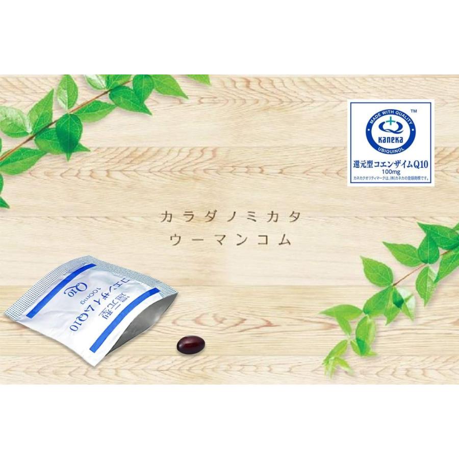 180包 還元型コエンザイムｑ10 個包装 30包 6箱セット Www Fakfakkab Go Id