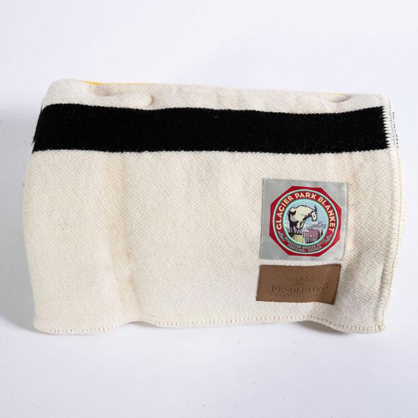 【訳あり】ペンドルトン ブランケット ナショナルパーク PENDLETON/XF133-50717 NATIONAL PARK THROW W/CARRIER GLACIER_4