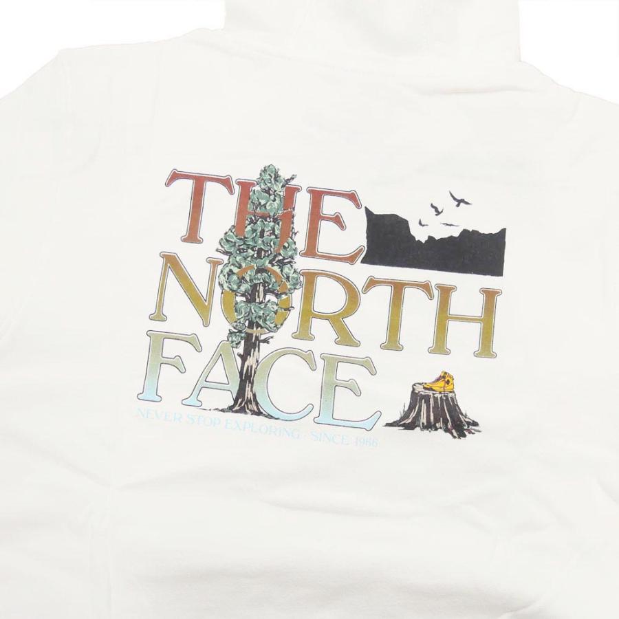 THE NORTH FACE ノースフェイス メンズプルオーバーパーカー NF0A7X1P / M SEASONAL GRAPHIC HOODIE ホワイト｜tre-style｜05