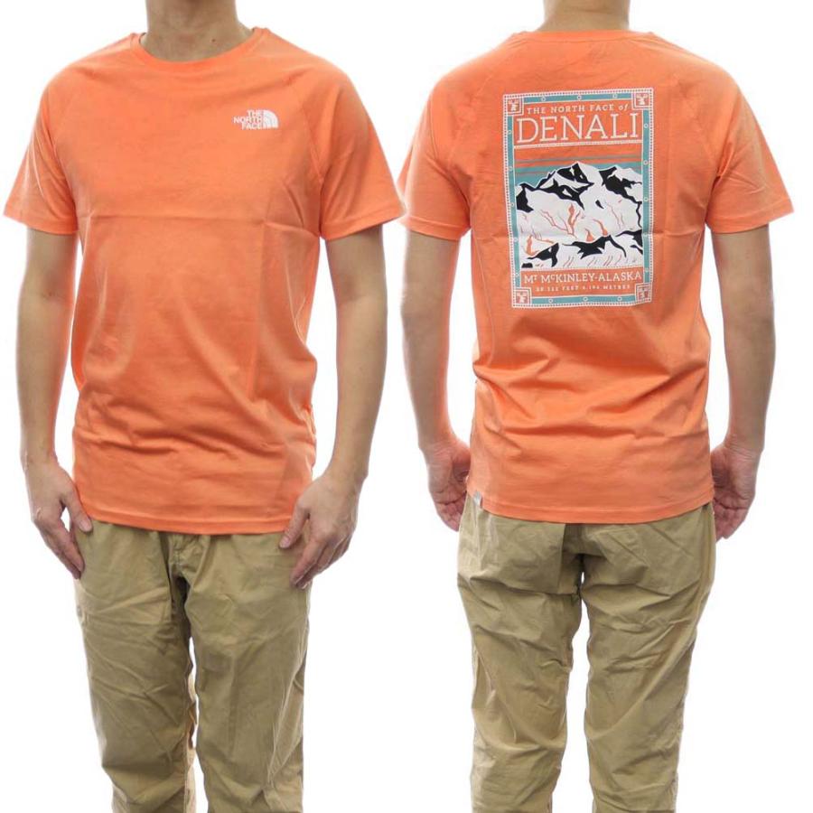 THE NORTH FACE ノースフェイス メンズクルーネックTシャツ