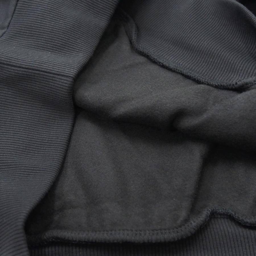 THE NORTH FACE（ザ ノースフェイス） ノースフェイス メンズプル