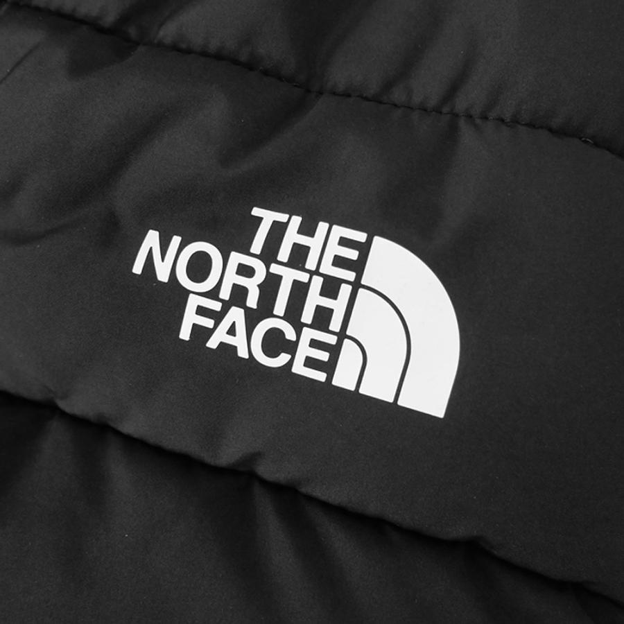 THE NORTH FACE（ザ ノースフェイス） ノースフェイス メンズダウン