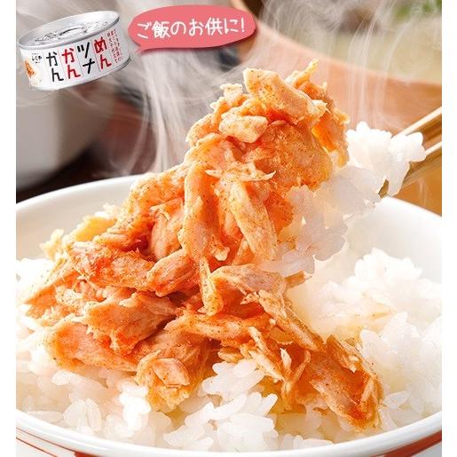 めんツナかんかん 食べ比べ3種（プレーン・辛口・プレミアム）セット オリジナルレシピ付き 送料無料 翌営業日出荷 |  | 03