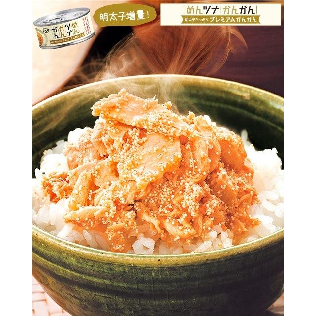 めんツナかんかん 食べ比べ3種（プレーン・辛口・プレミアム）セット オリジナルレシピ付き 送料無料 翌営業日出荷 |  | 04