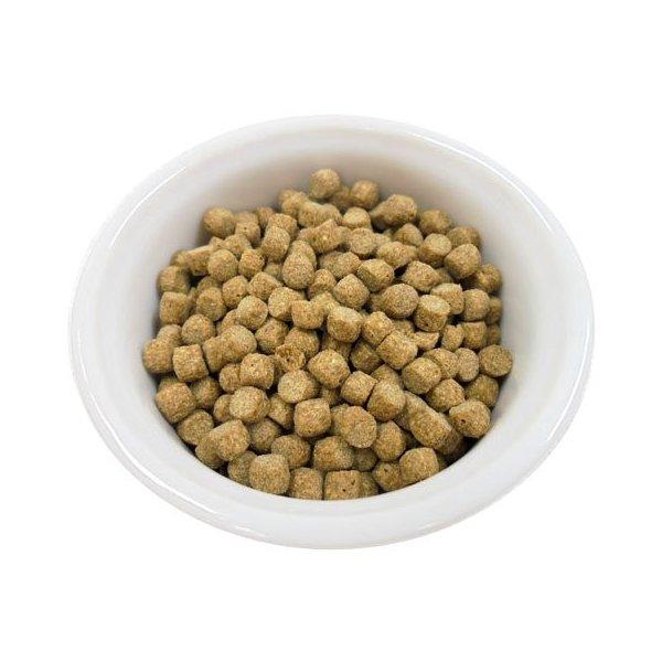 ハリネズミ エサ 餌 Fay Hedgehog Food フェイ ハリネズミフード 500g 送料無料 15時までのご注文で当日出荷 |  | 02