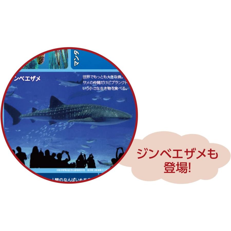 わくわくすいぞくかんすごろく スゴロク 双六 子供 子ども 3歳 知育 おもちゃ ボードゲーム 小学生 幼児 アーテック 送料無料 翌営業日出荷 |  | 03