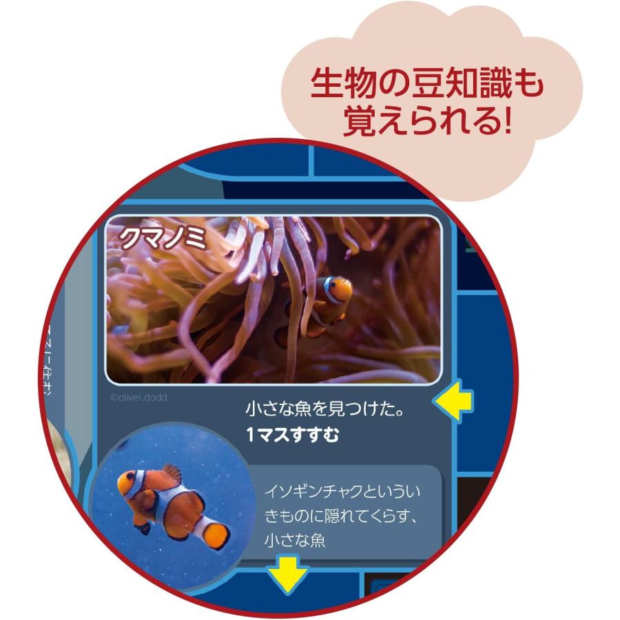 わくわくすいぞくかんすごろく スゴロク 双六 子供 子ども 3歳 知育 おもちゃ ボードゲーム 小学生 幼児 アーテック 送料無料 翌営業日出荷 |  | 04