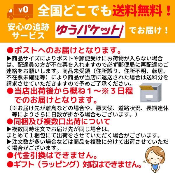 アリサン コーンスターチ 100g 4個セット 無添加 有機コーンスターチ オーガニック 送料無料 翌営業日出荷 | ALISHAN | 03