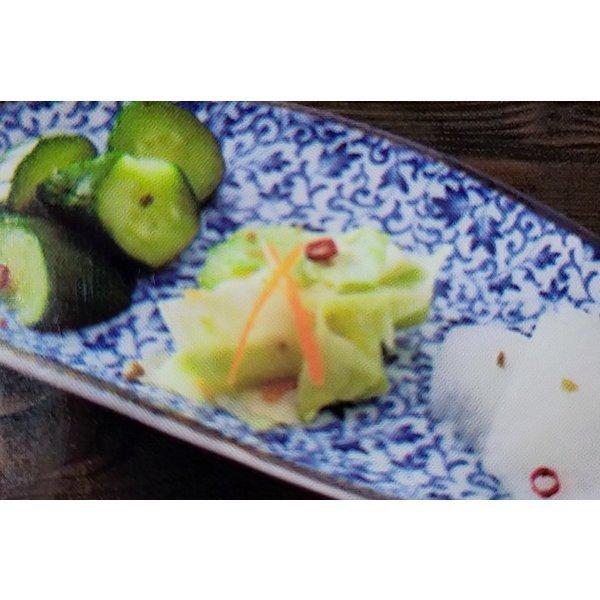 芽かぶ入りあさ漬け塩 280g 浅漬けの素 浅漬け塩 送料無料 翌営業日出荷 |  | 01